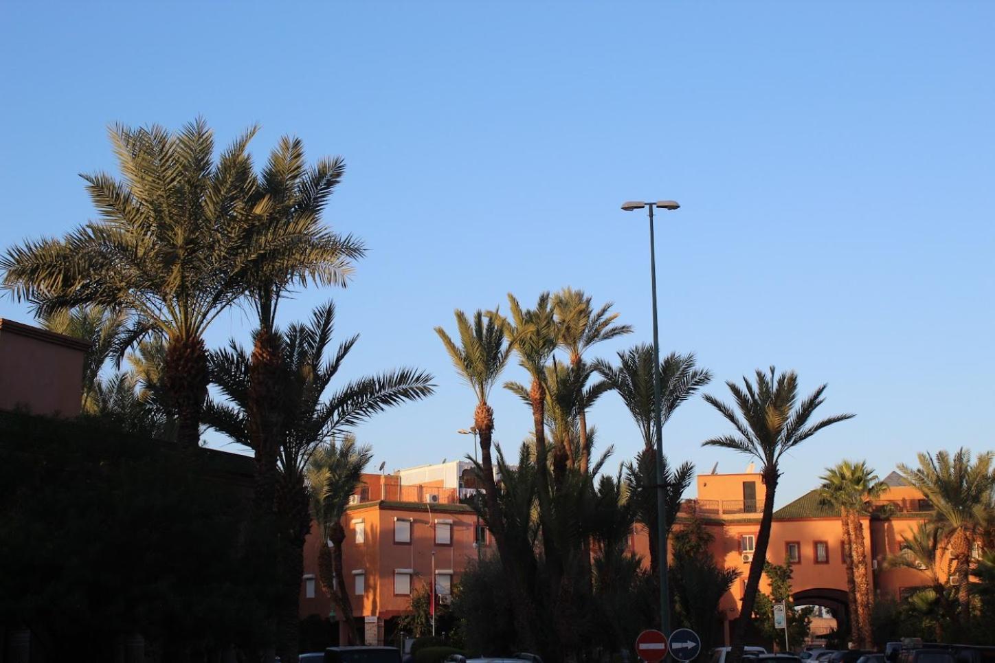 Riad Darnooz Марракеш Экстерьер фото